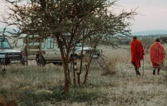 Tanzania Safari Adventure