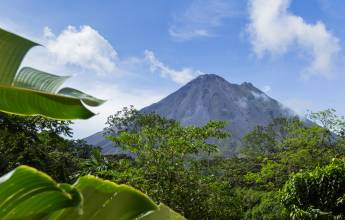 Signature Costa Rica | Where the Wild Answers