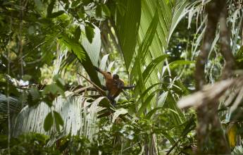 Costa Rica Coast to Coast Ride