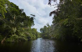 Costa Rica’s Coastal Secrets