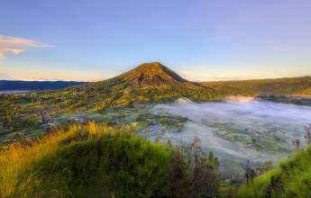 Primates & Dragons of Indonesia