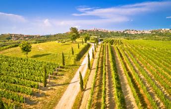 Cycling Croatia’s Istrian Peninsula