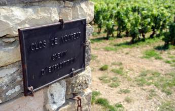 Discover Burgundy & Alsace – Premium Adventure