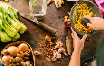 Primates & Dragons of Indonesia