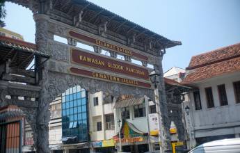 Primates & Dragons of Indonesia