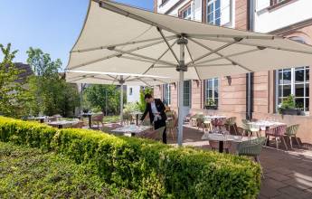 Discover Burgundy & Alsace – Premium Adventure