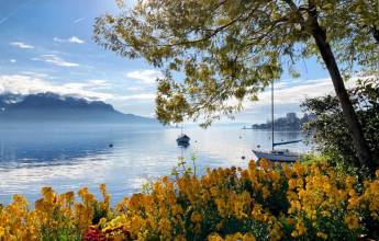 Discover Switzerland by Rail