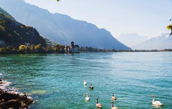 Discover Switzerland by Rail