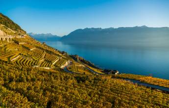 Discover Switzerland by Rail