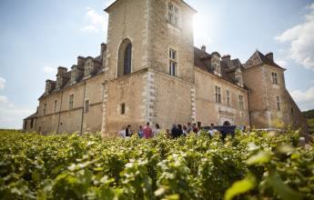 Discover Burgundy & Alsace – Premium Adventure