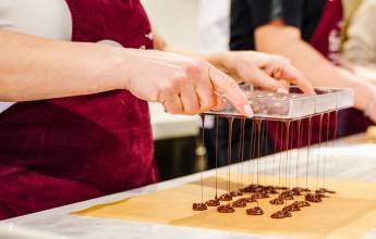 Discover Switzerland by Rail