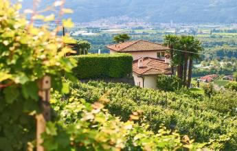 Discover Switzerland by Rail