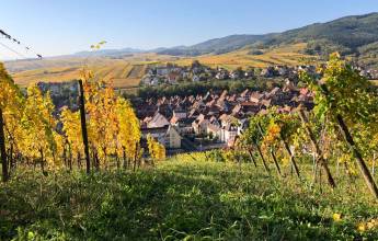 Discover Burgundy & Alsace – Premium Adventure