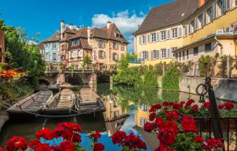 Discover Burgundy & Alsace – Premium Adventure