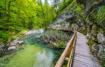 Walking the Slovenian Alps