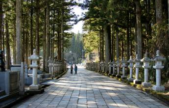 Signature Japan | Through Temples & Time