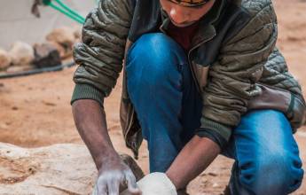 Signature Jordan | Stars and Desert Sands