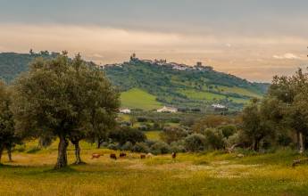 Signature Portugal | Among the Whitewashed Hills