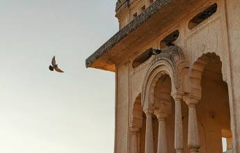 Signature India | The Realm of Royals