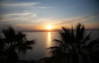 Signature Jordan | Stars and Desert Sands