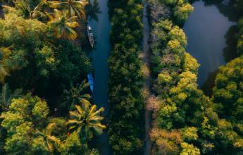 Signature India | Between Spices & Backwaters