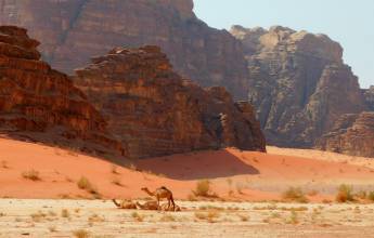 Signature Jordan | Stars and Desert Sands