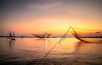 Signature India | Between Spices & Backwaters