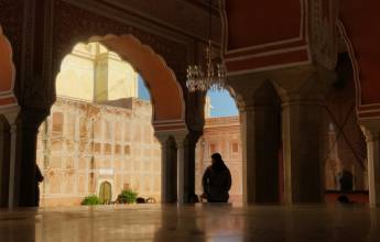 Signature India | The Realm of Royals