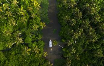 Signature India | Between Spices & Backwaters