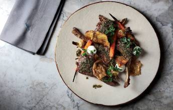 Signature South Africa | Across the Wild Plains