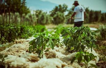 Signature Italy | Allure of Renaissance Tuscany