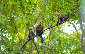 Signature Colombia | Stories Beneath Wax Palms