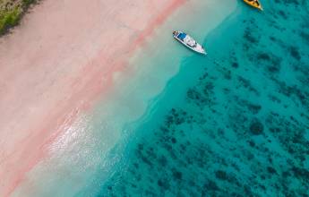 Signature Indonesia | The Sacred Wild Isles