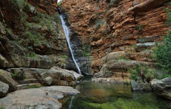 Signature South Africa | Wild Coasts & Winelands