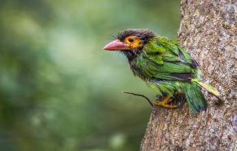 Signature Sri Lanka | The Island of Serendipity