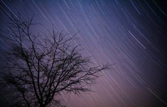 Signature South Africa | Wild Coasts & Winelands