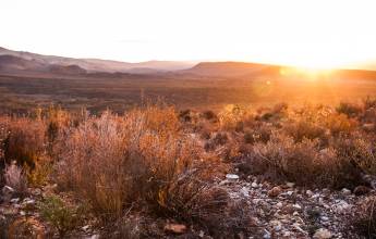 Signature South Africa | Wild Coasts & Winelands