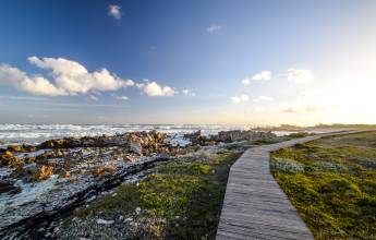 Signature South Africa | Wild Coasts & Winelands
