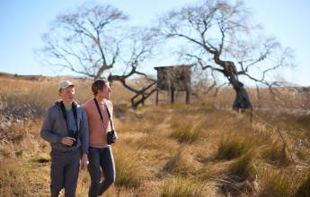 Essential Kruger Safari – Family Adventure