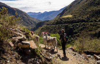 Lares Trek to Machu Picchu