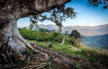 Signature Sri Lanka | The Island of Serendipity