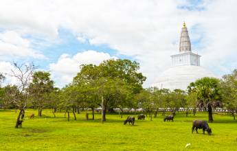 Highlights of Northern Sri Lanka