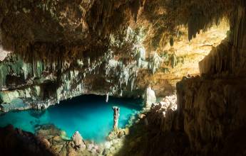 Signature Indonesia | The Sacred Wild Isles