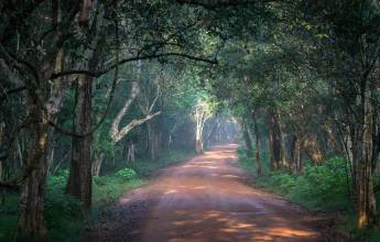 Highlights of Northern Sri Lanka