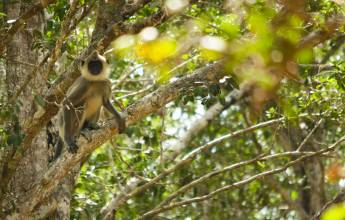 Highlights of Northern Sri Lanka