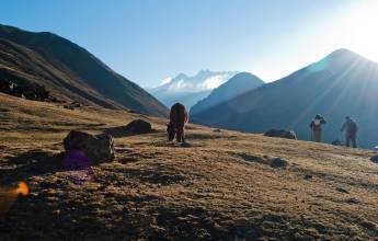 Lares Trek to Machu Picchu