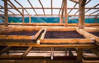 Signature Colombia | Stories Beneath Wax Palms