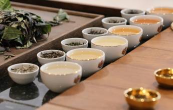 Signature Sri Lanka | The Island of Serendipity