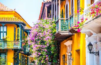 Signature Colombia | Stories Beneath Wax Palms