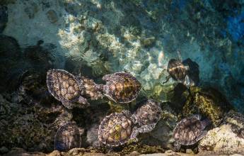 Signature Mexico | Among Ruins & Ritual